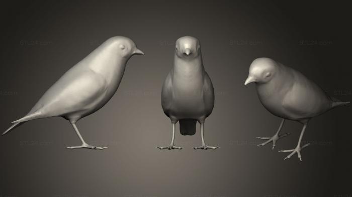 Animal figurines (Black Redstart, STKJ_0754) 3D models for cnc